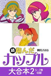Icon image 続 翔んだカップル 大合本