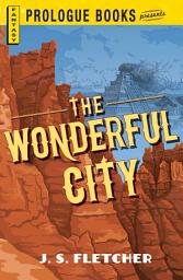 Icon image The Wonderful City