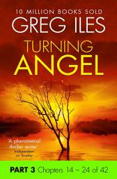 Icon image Turning Angel: Part 3, Chapters 14 to 24