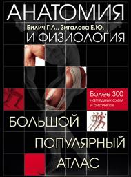 Icon image Анатомия и физиология. Большой популярный атлас