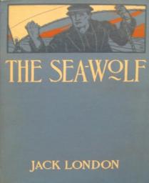 Icon image The Sea-Wolf