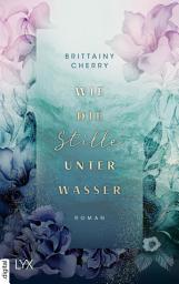 Icon image Wie die Stille unter Wasser