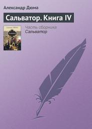 Icon image Сальватор. Книга IV