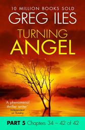 Icon image Turning Angel: Part 5, Chapters 34 to 42