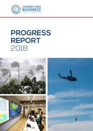 Icon image CBi Progress Report 2018