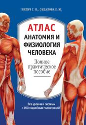 Icon image Атлас: анатомия и физиология человека. Полное практическое пособие