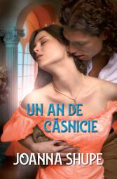 Icon image Un an de casnicie