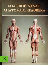 Icon image Большой атлас анатомии человека