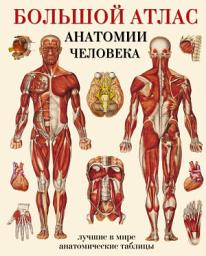Icon image Большой атлас анатомии человека. Лучшие в мире анатомические таблицы