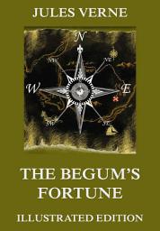 Icon image The Begum's Fortune