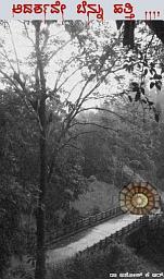 ಐಕಾನ್ ಚಿತ್ರ Adarshave Bennu Hatti: Kannada Novel