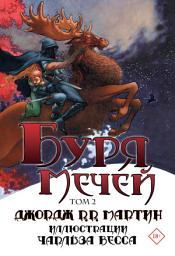 Icon image Буря мечей. Том 2