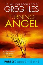 Icon image Turning Angel: Part 2, Chapters 3 to 13